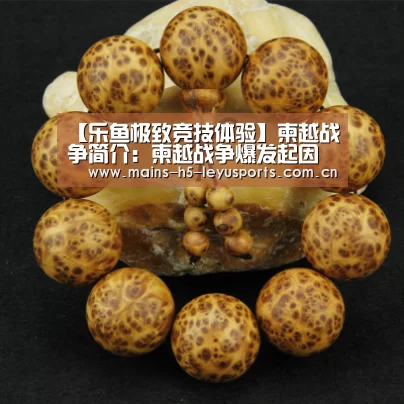 【乐鱼极致竞技体验】柬越战争简介:柬越战争爆发起因