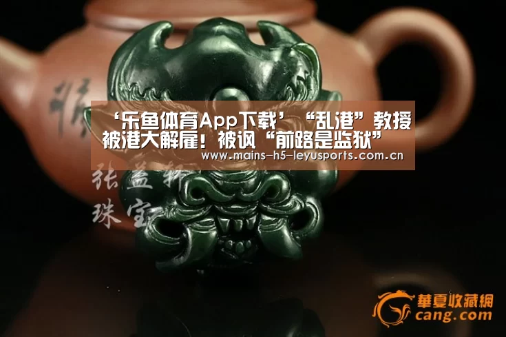‘乐鱼体育App下载’“乱港”教授被港大解雇!被讽“前路是监狱”