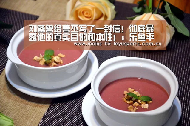 刘备曾给曹丕写了一封信!彻底暴露他的真实目的和本性!:乐鱼平台最新版本(图2) 乐鱼极致竞技体验