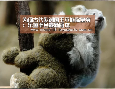为何古代欧洲国王不能称皇帝:乐鱼平台最新版本