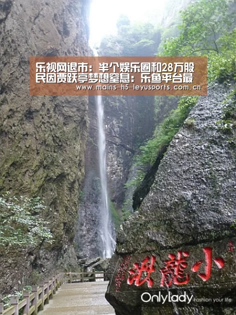 乐视网退市:半个娱乐圈和28万股民因贾跃亭梦想窒息:乐鱼平台最新版本